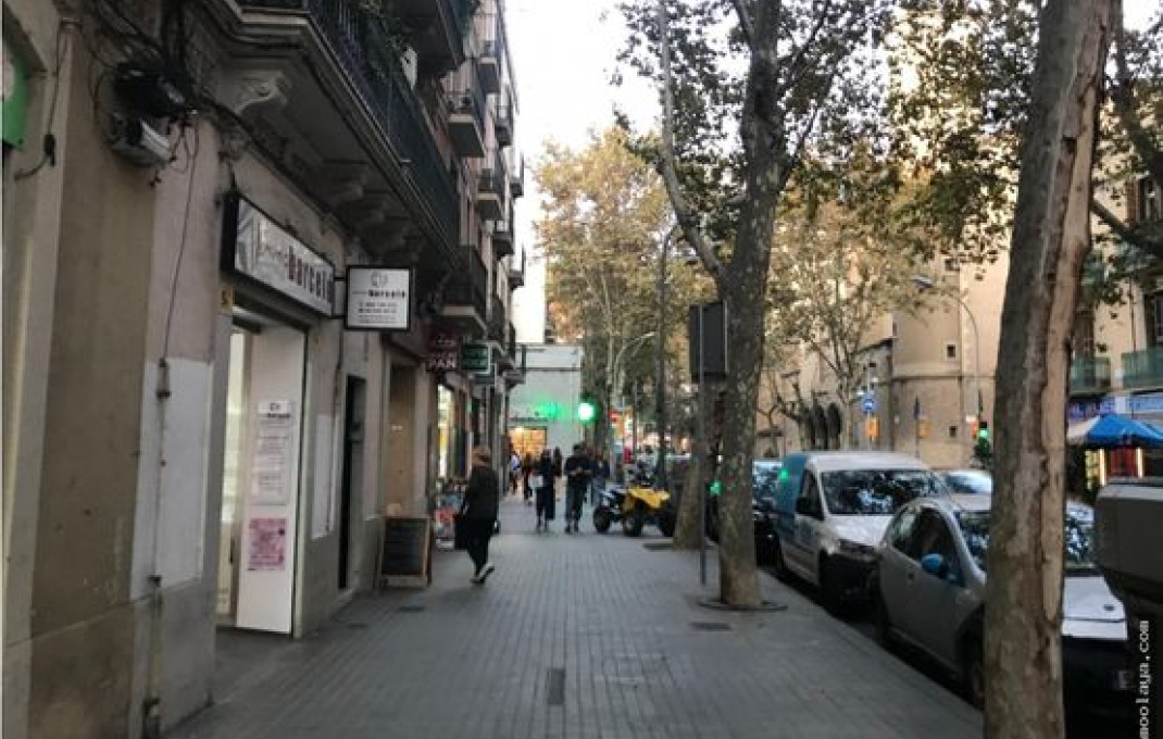 Transfert - Restaurant -
Barcelona - Poblenou