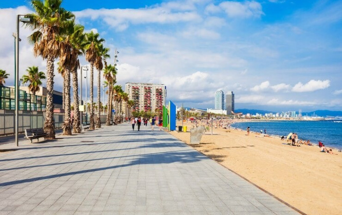 Transfert - Local comercial -
Barcelona - Barceloneta