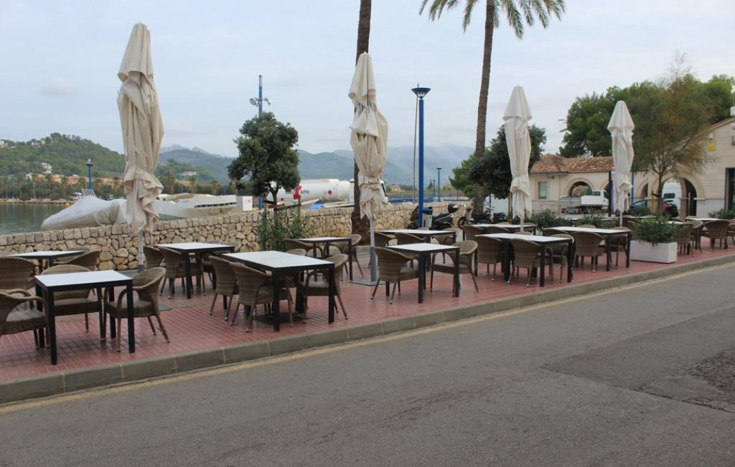 Transfer - Bar Restaurante -
Palma de Mallorca - Palma