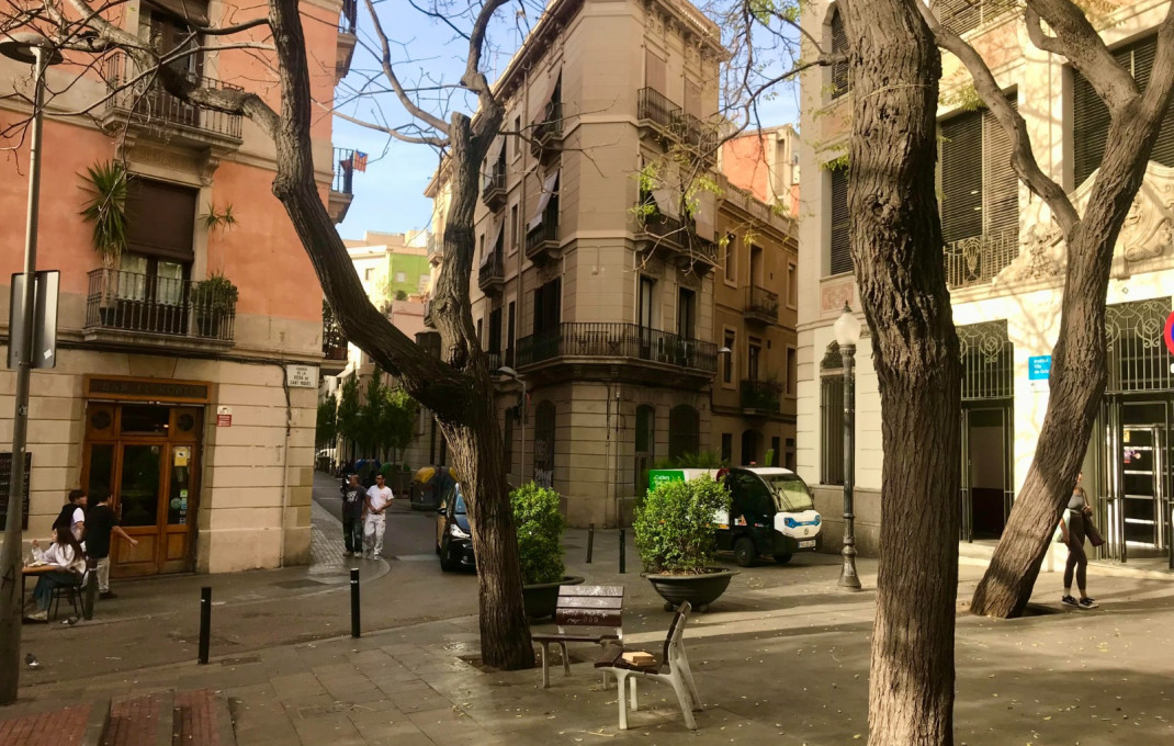 Transfer - Bar-Cafeteria -
Barcelona - Gràcia