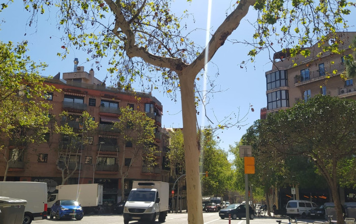 Alquiler - Local comercial -
Barcelona - Gràcia