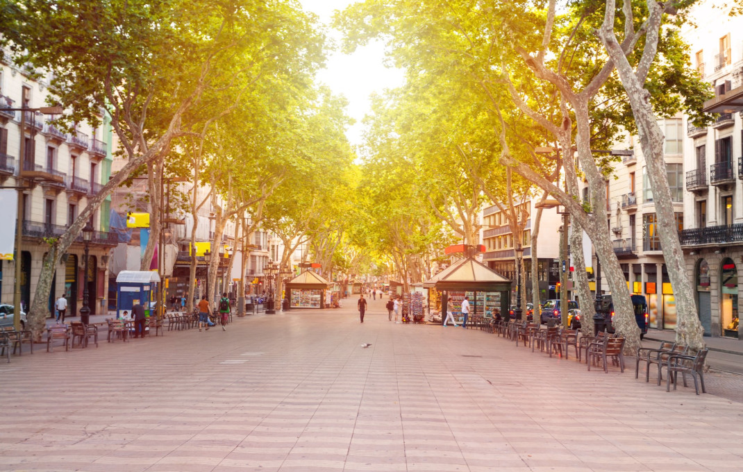 Venta en rentabilidad - Local comercial -
Barcelona - Plaza España